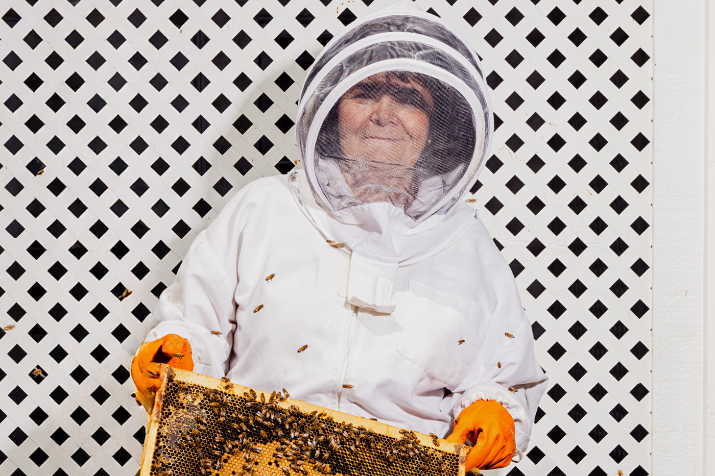 A beekeeper holds a tray filled with bees over her honeybee hive.